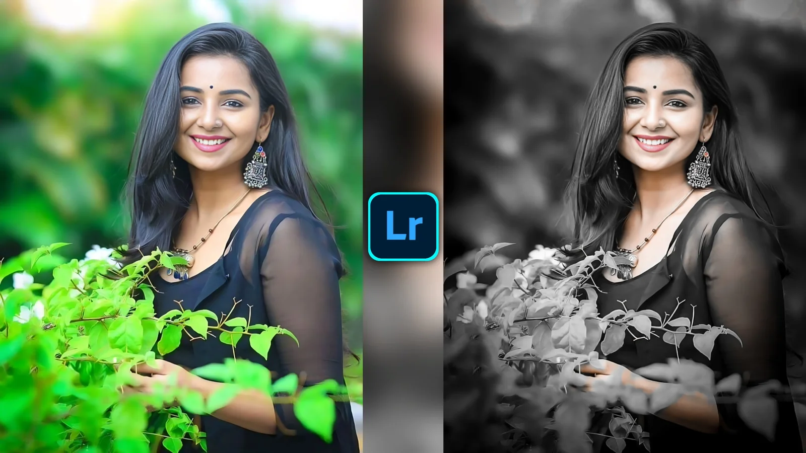 Lightroom Photo Preset Download