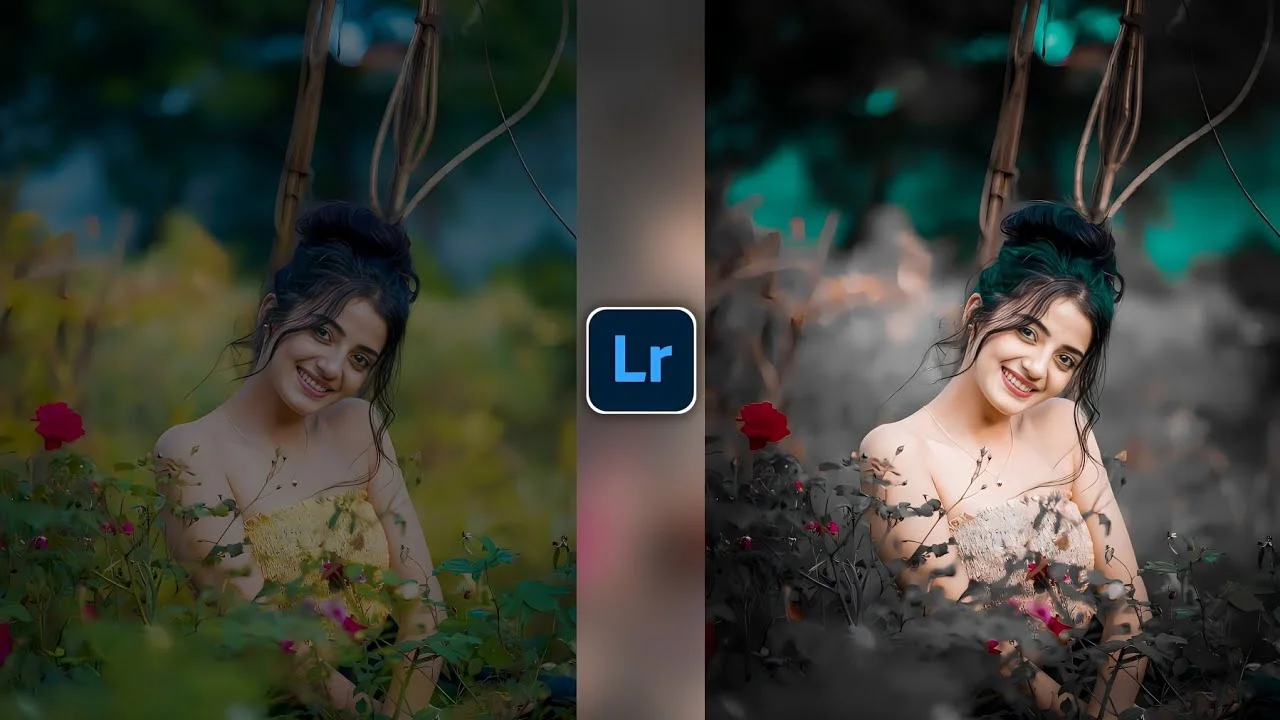 Lightroom Preset