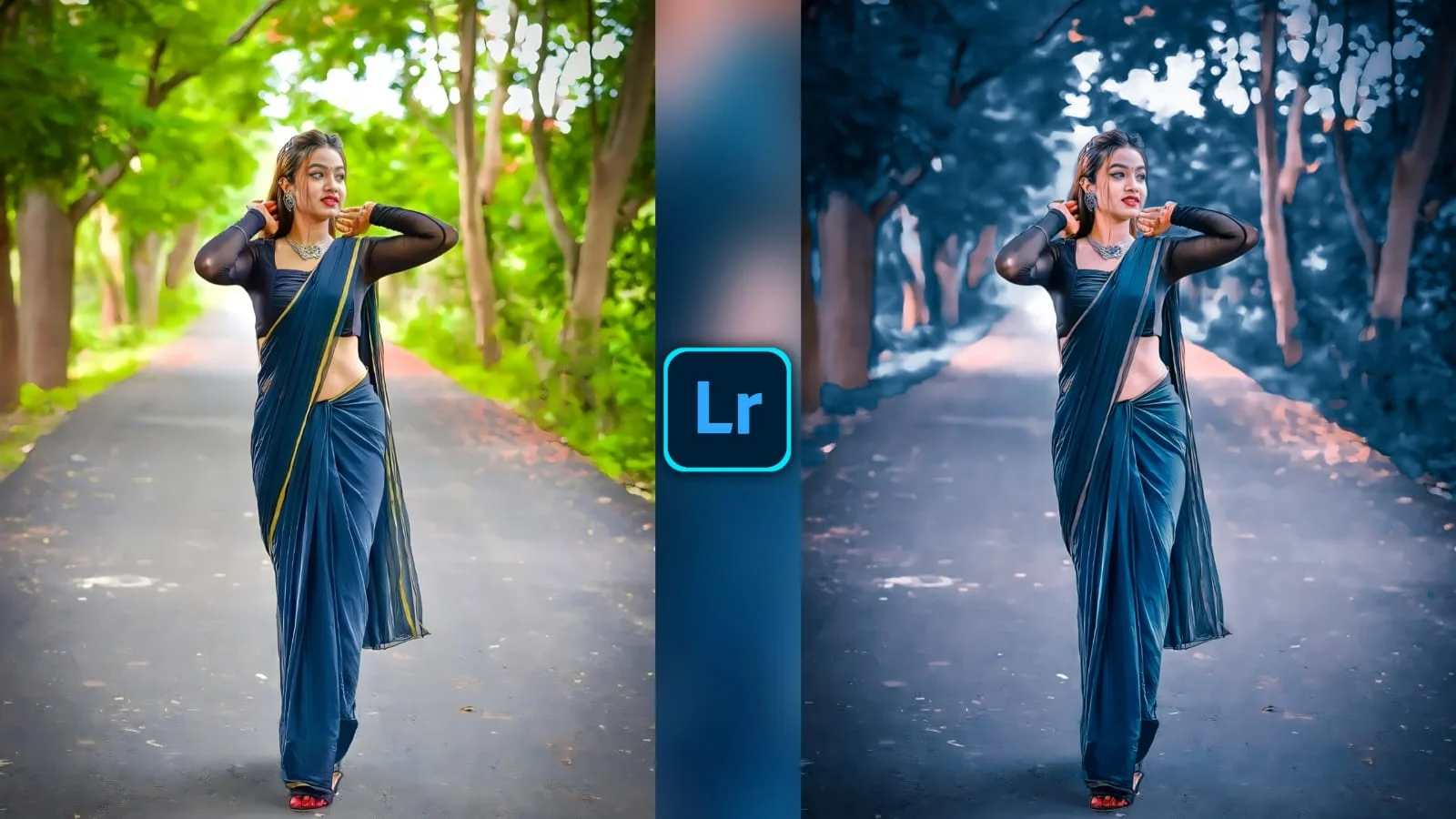 Adobe Lightroom Preset