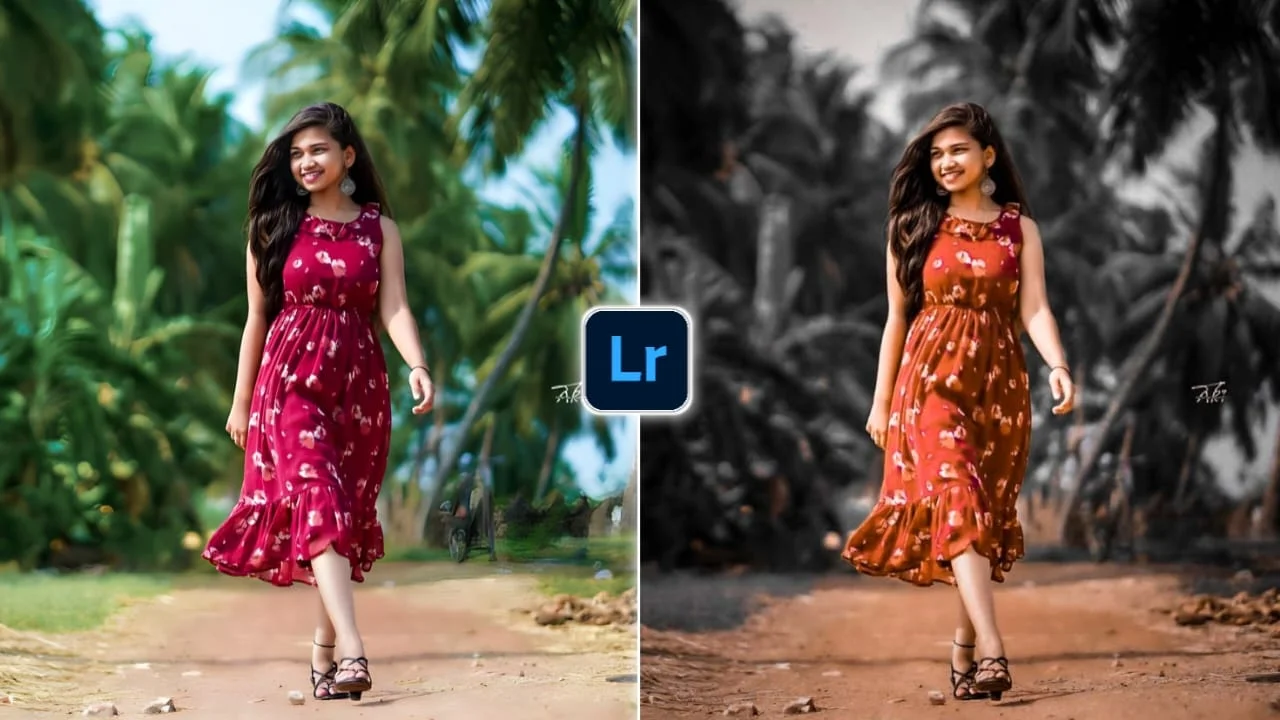 Lightroom Preset 13