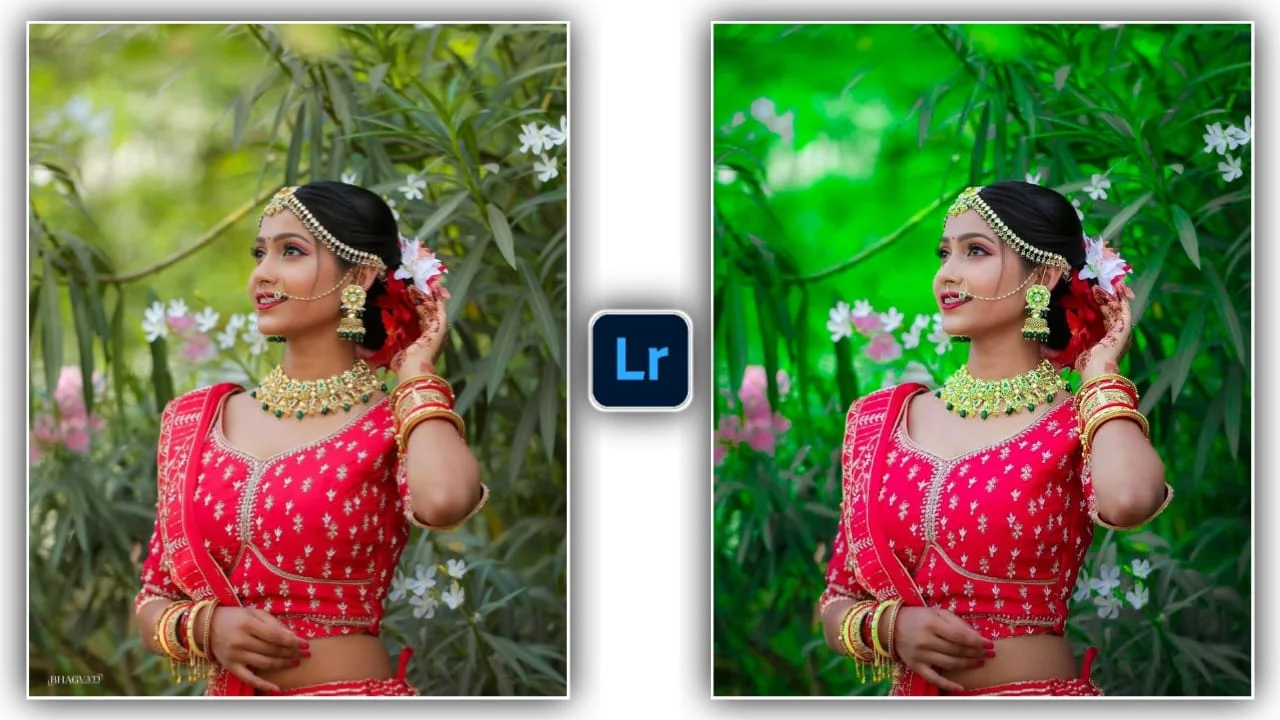 Lightroom Preset 17