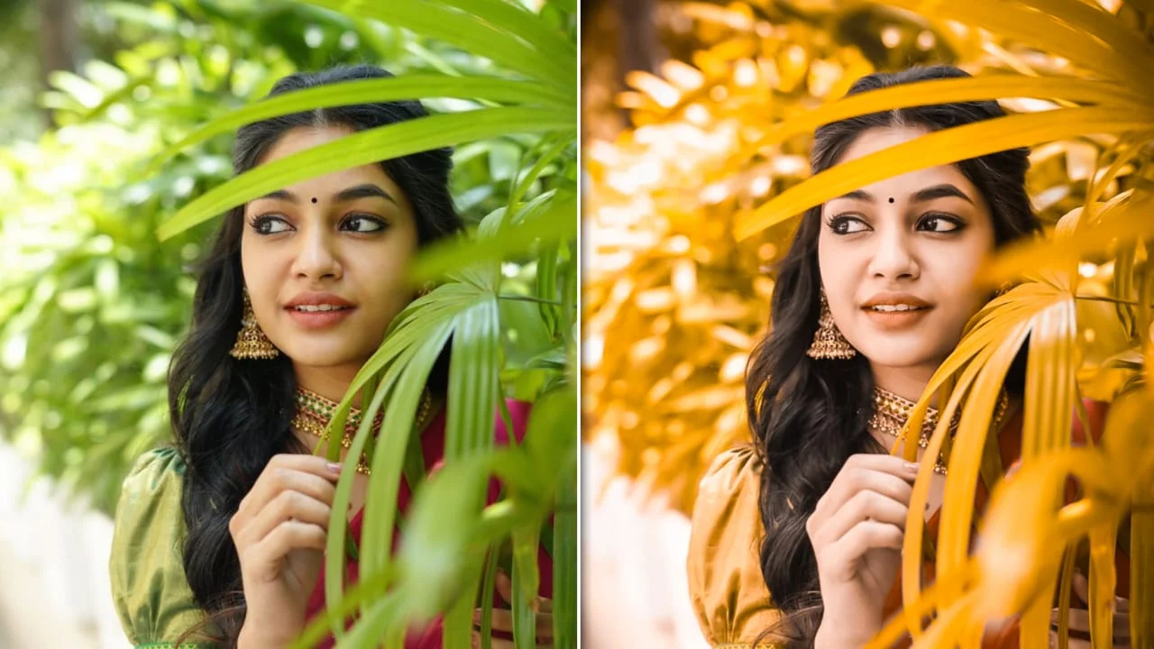 Lightroom Preset 22