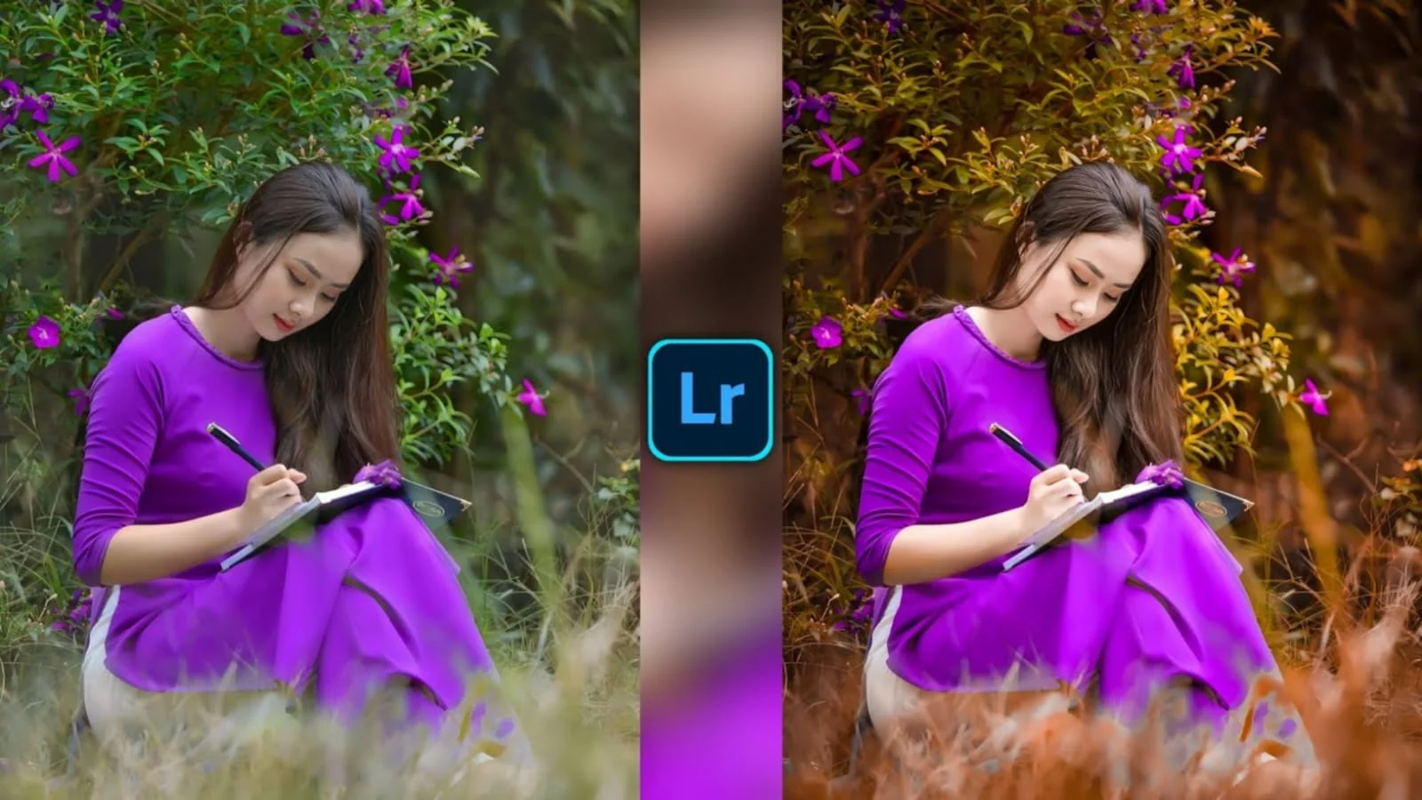 Lightroom Preset Download 30