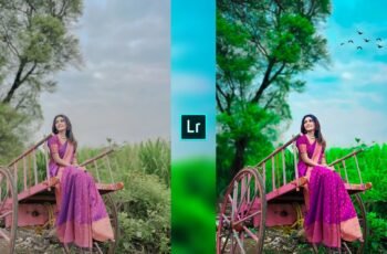 Lightroom Preset Download 46