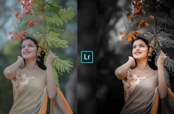 Lightroom Preset Download 50