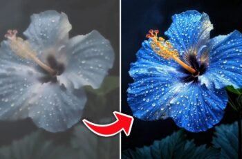 AI Photo Studio Pro Editing App