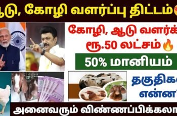 Goat and Chicken Farm Loan Subsidy